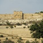 קעקועים של סלבריטאים בישראל