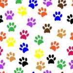 קעקועים של Paws of Dogs - דרך ייחודית ומשמעותית להראות את אהבתך